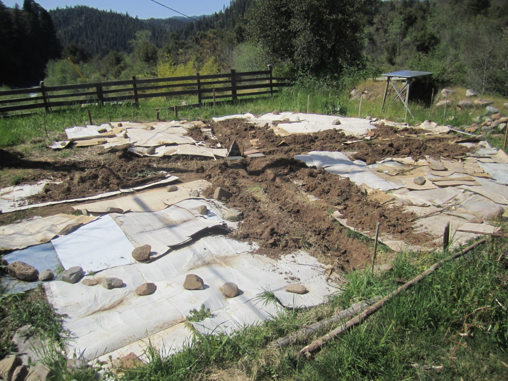 Prayer Garden Layout